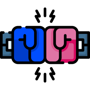 Competitor Audit