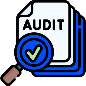 Initial SEO Audit